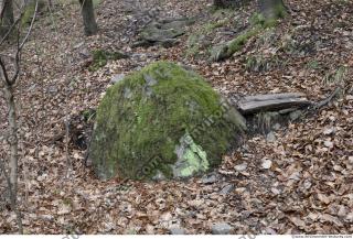 rock overgrown moss 0001